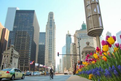 Chicago Crime and Mob Bus Tour