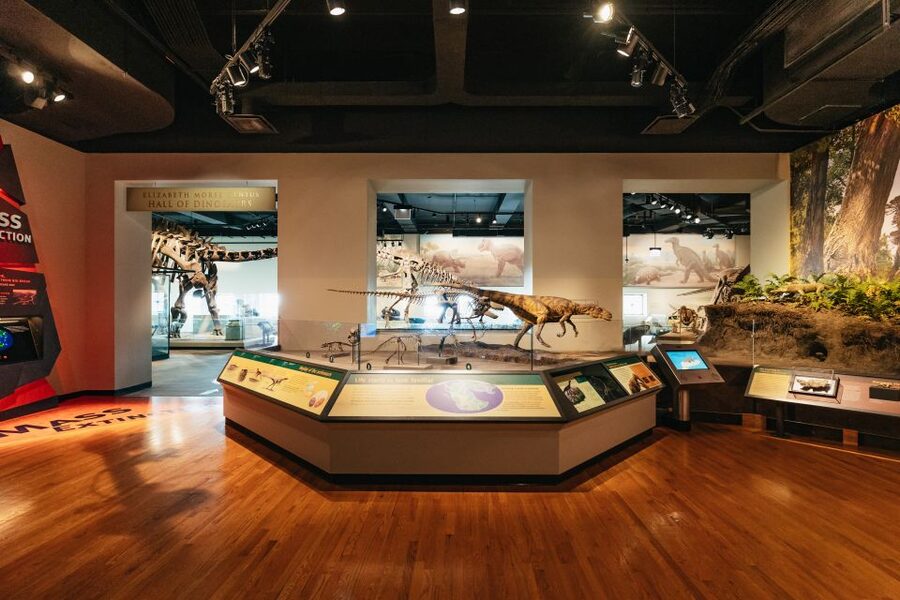Chicago: Field Museum of Natural History Ticket or VIP Tour - Who will enjoy this museum most