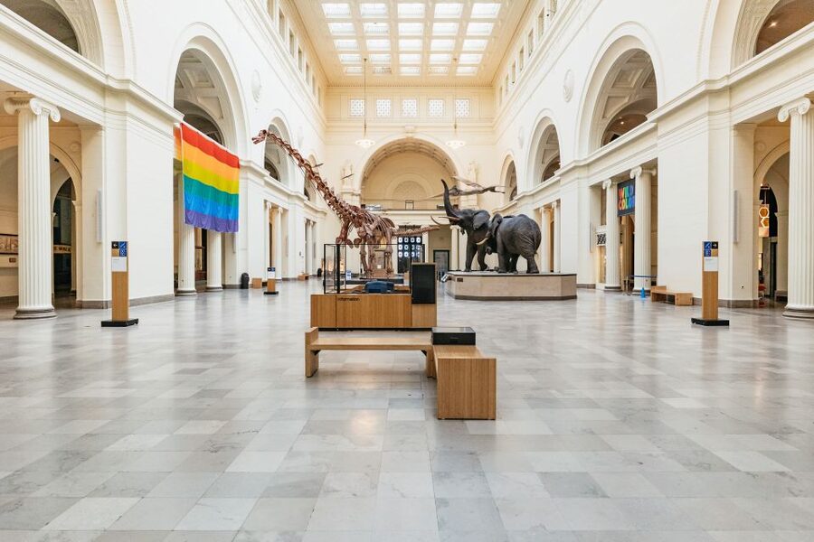 Chicago: Field Museum of Natural History Ticket or VIP Tour - Starting with Sue and the Dinosaur Hall