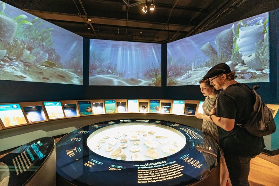 Chicago: Field Museum of Natural History Ticket or VIP Tour - Ancient cultures, tombs, and the human story