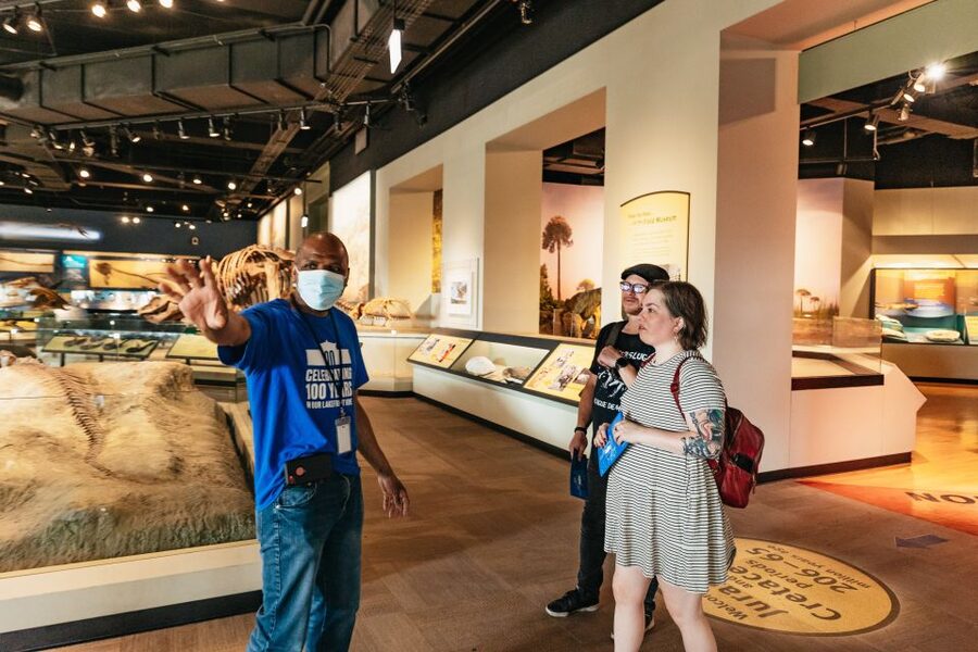 Chicago: Field Museum of Natural History Ticket or VIP Tour - Gemstones, jade, and life below ground