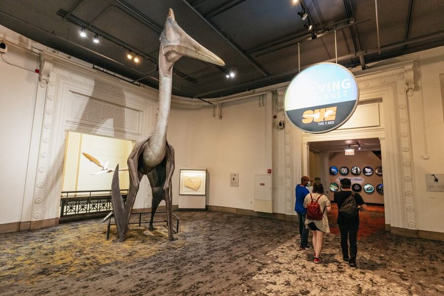 Chicago: Field Museum of Natural History Ticket or VIP Tour - Planning a realistic one-day visit