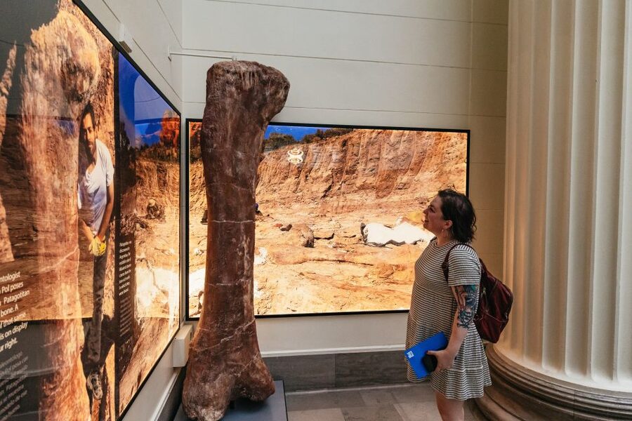 Chicago: Field Museum of Natural History Ticket or VIP Tour - Choosing between four ticket options