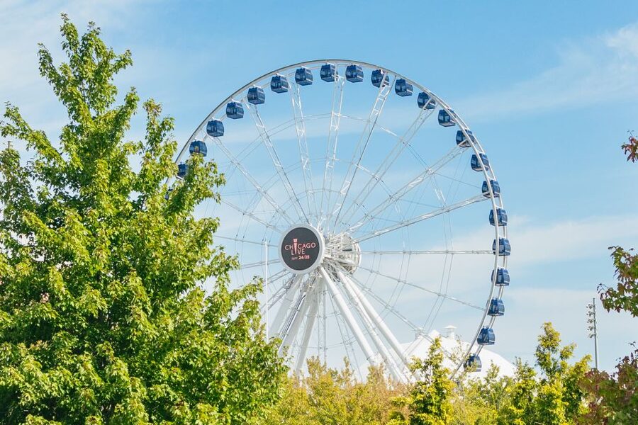 Chicago: Hop-on Hop-off Sightseeing Tour by Open-top Bus - Millennium Park, the Art Institute, and Grant Park