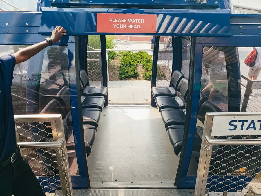 Chicago: Navy Pier Centennial Wheel Ticket - Who will enjoy this ride most?