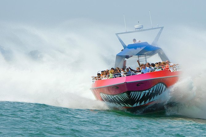 City Cruises Boston Codzilla High-Speed Thrill Boat Ride - Key points to know before you board