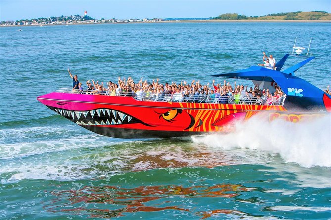 City Cruises Boston Codzilla High-Speed Thrill Boat Ride - What 40 miles per hour feels like on the water
