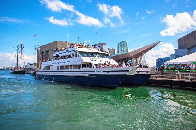 City Cruises Boston Whale Watching Cruise by High-Speed Boat - Why Stellwagen Bank matters