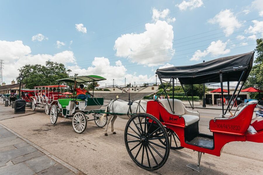 City Sightseeing New Orleans HOHO Bus Tour & Bookable Extras - Timing, bus frequency, and practical limits