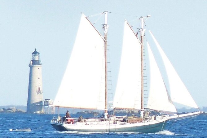 Classic Tall Ship Cruise in Boston Harbor - Who will enjoy this cruise most?