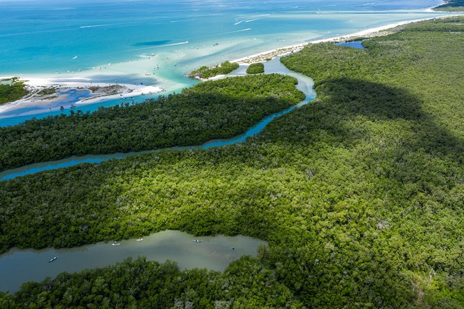 Clear Kayak Guided Eco Tour in North Naples - A quiet paddle through North Naples mangroves