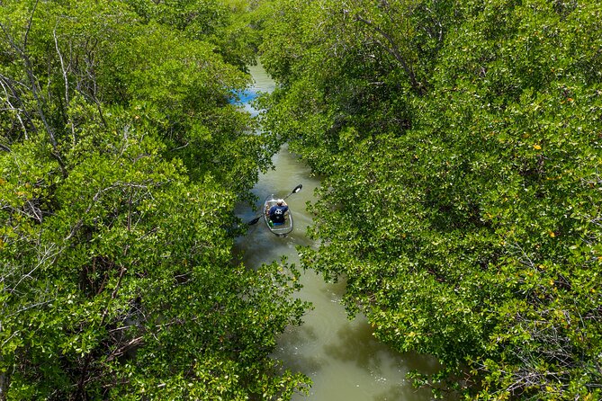 Clear Kayak Guided Eco Tour in North Naples - Through the mangrove tunnels