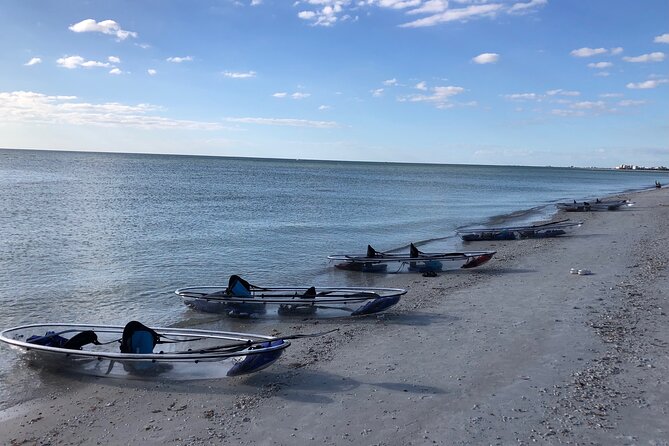 Clear Kayak Guided Eco Tour in North Naples - The beach stop and shell hunting