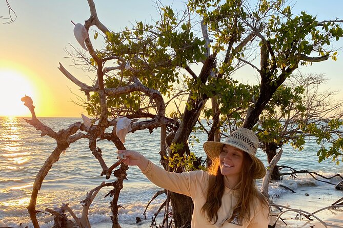 Clear Kayak Guided Eco Tour in North Naples - Who will get the most from this $84 experience