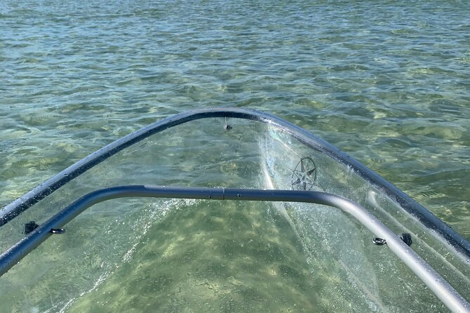 Clear Kayak Guided Eco Tour in North Naples - Weather, cancellations, and timing