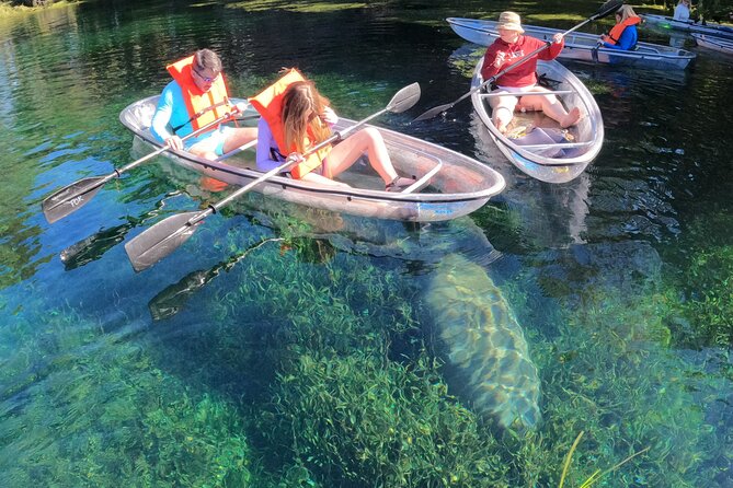 Clear Kayak Manatee Ecotour of Crystal River - The launch at Crystal River