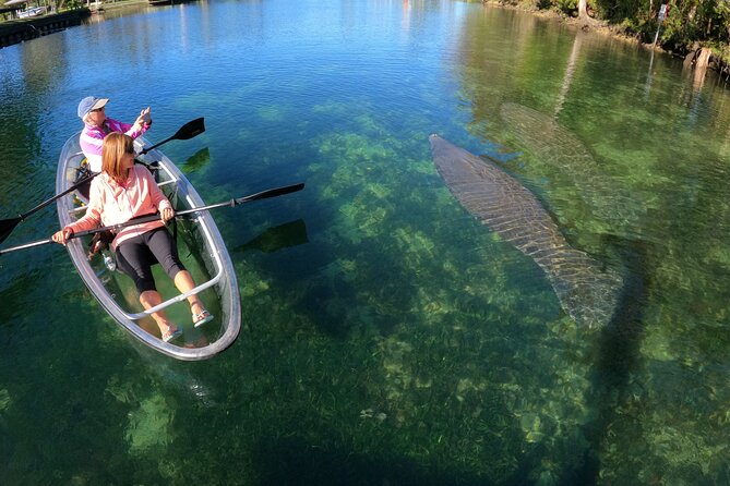 Clear Kayak Manatee Ecotour of Crystal River - How strenuous is the kayaking?