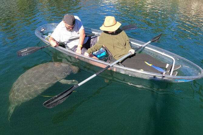 Clear Kayak Manatee Ecotour of Crystal River - Family appeal and group size