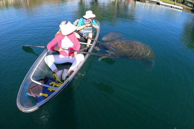 Clear Kayak Manatee Ecotour of Crystal River - Price, extra fees, and photo packages