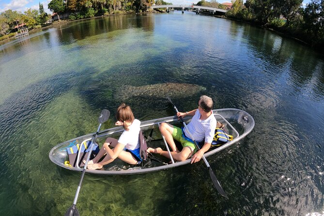 Clear Kayak Manatee Ecotour of Crystal River - Looking through the clear kayak hull