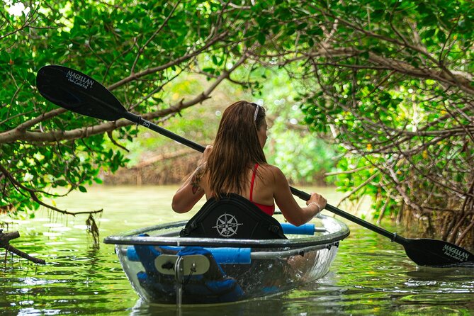 Clear Kayak Tour of Shell Key Preserve and Tampa Bay Area - Starting at Billy’s Stone Crab in Tierra Verde