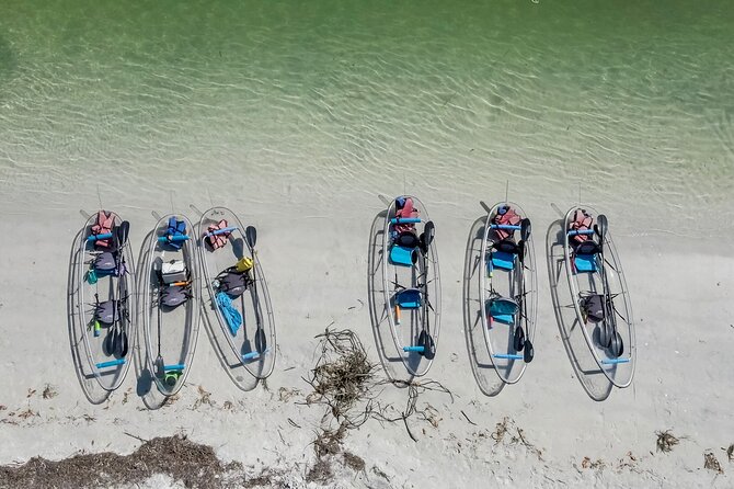 Clear Kayak Tour of Shell Key Preserve and Tampa Bay Area - Wildlife to watch for by season