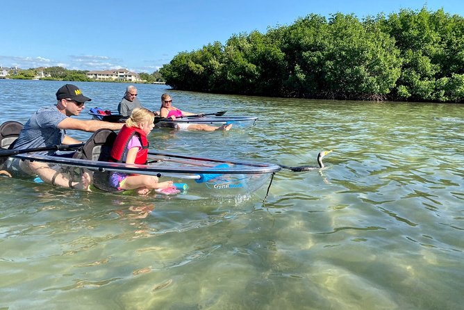 Clear Kayak Tour of Shell Key Preserve and Tampa Bay Area - How hard is the two-hour paddle?