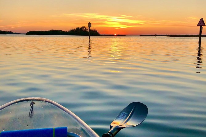 Clear Kayak Tour of Shell Key Preserve and Tampa Bay Area - The small-group format and guide quality