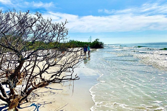 Clear Kayak Tour of Shell Key Preserve and Tampa Bay Area - What to bring and wear