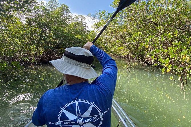 Clear Kayak Tours in Fort Pierce - Why the mangrove tunnels are the real attraction