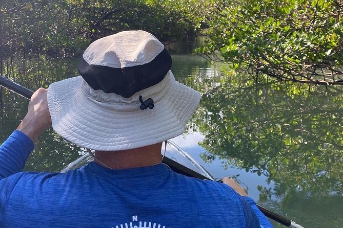 Clear Kayak Tours in Fort Pierce - The open lagoon offers the first wildlife search
