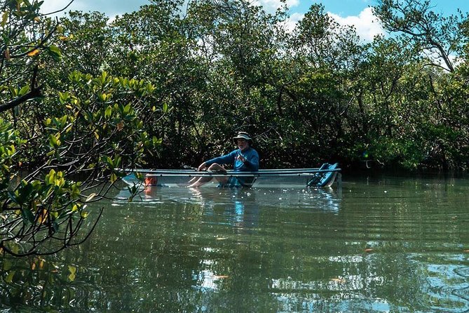 Clear Kayak Tours in Fort Pierce - Several stopping points keep the pace easy