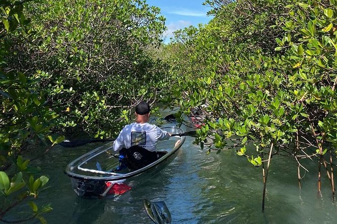 Clear Kayak Tours in Fort Pierce - Is $90 a fair price?