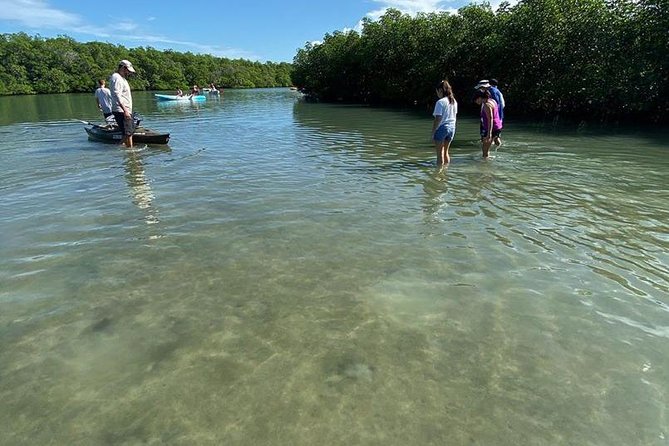 Clear Kayak Tours in Fort Pierce - What happens from check-in to the first paddle