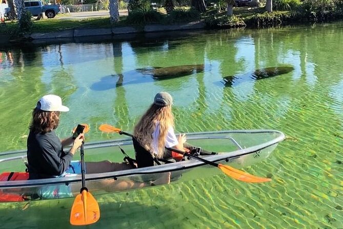 Clear Kayak Tours in Weeki Wachee - Key points to know before you book