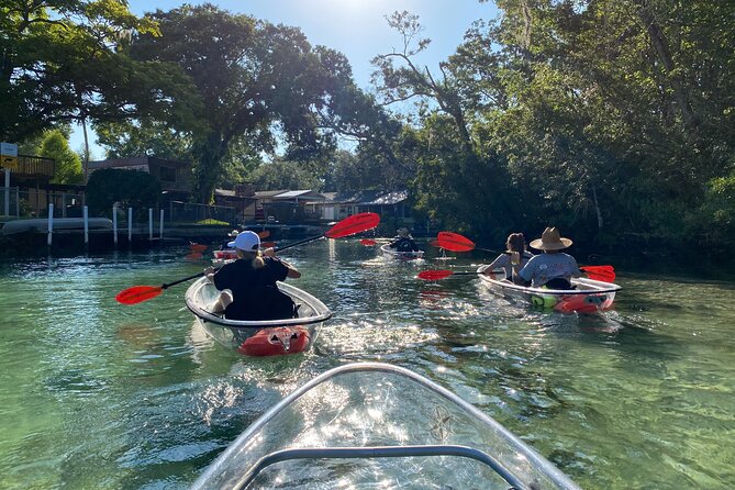 Clear Kayak Tours in Weeki Wachee - Wildlife, from manatees to bald eagles