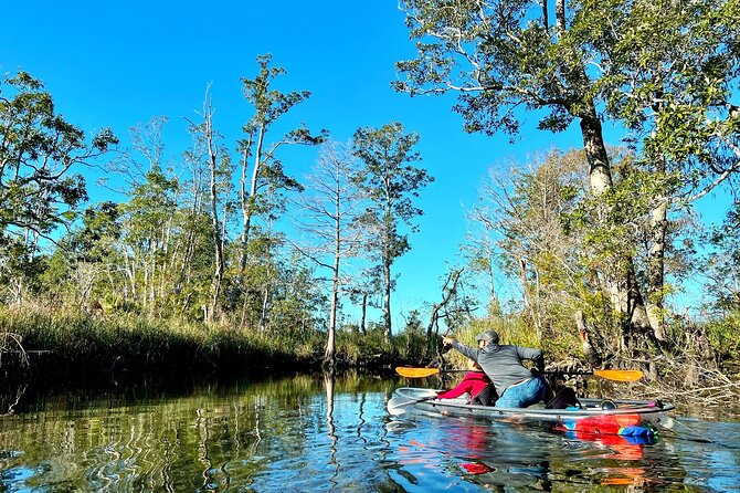 Clear Kayak Tours in Weeki Wachee - Photos, scenery, and the no-swimming rule
