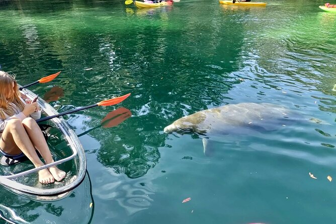 Clear Kayak Tours in Weeki Wachee - Who will enjoy this tour most?