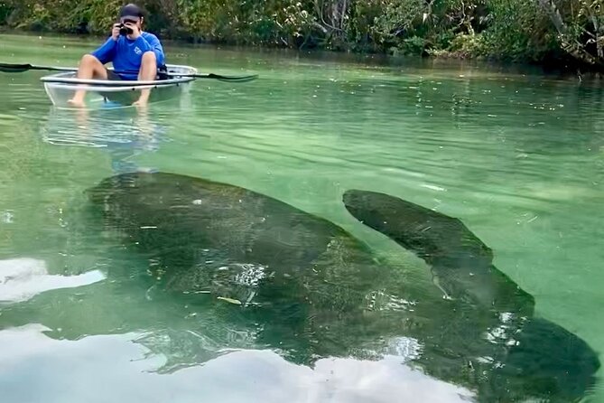 Clear Kayak Tours in Weeki Wachee - What can make the day less enjoyable?