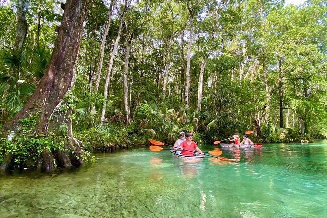 Clear Kayak Tours in Weeki Wachee - Paddling the winding river