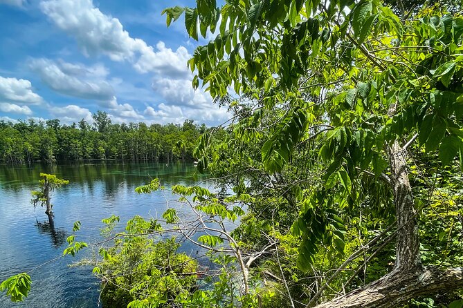 Clear Kayaking Eco Adventure Tour in Marianna - Why clear kayaks change the whole trip