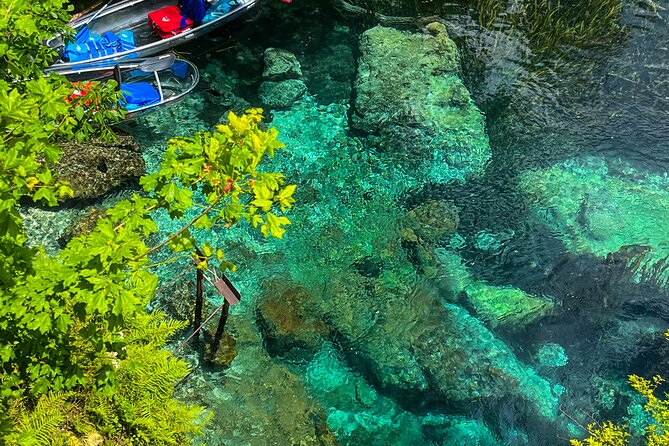 Clear Kayaking Eco Adventure Tour in Marianna - Paddling beneath limestone bluffs and cypress trees