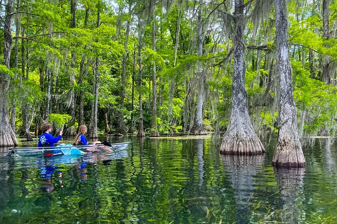 Clear Kayaking Eco Adventure Tour in Marianna - The swimming stop and cold spring water