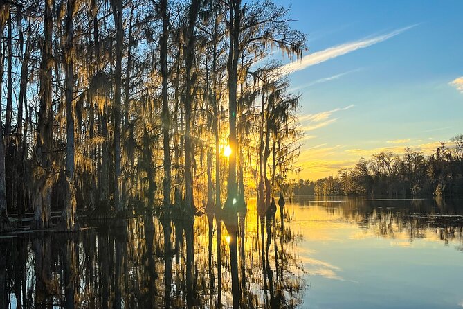 Clear Kayaking Eco Adventure Tour in Marianna - Florida Caverns State Park and Blue Springs