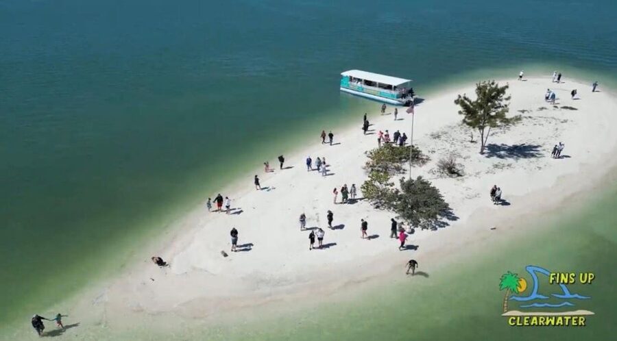 Clearwater Beach: Dolphin & Island Sandbar Cruise - Price, cancellation, and booking flexibility