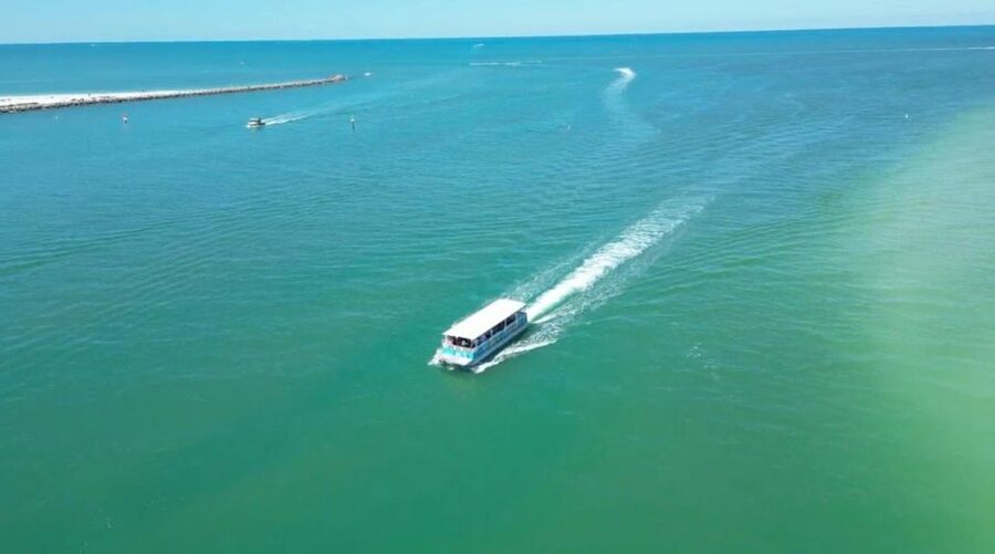 Clearwater Beach: Dolphin & Island Sandbar Cruise - A low-cost way to see Clearwater from the Gulf