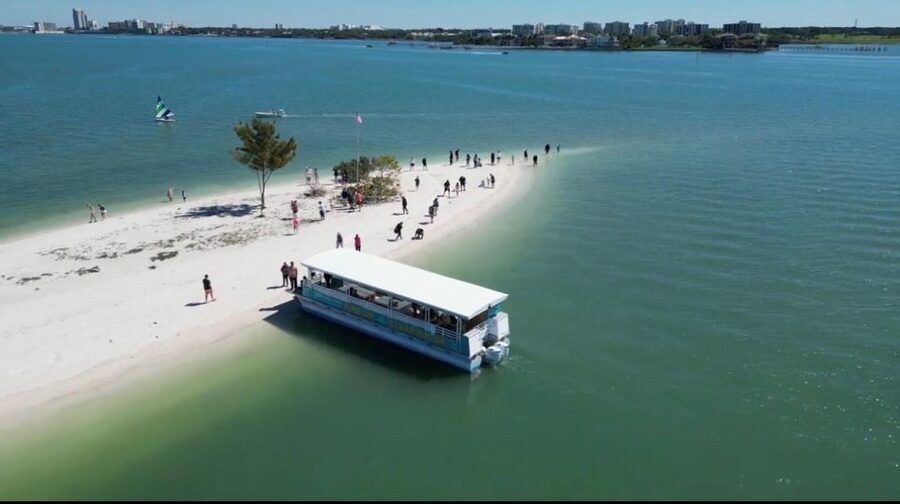 Clearwater Beach: Dolphin & Island Sandbar Cruise - Dolphin watching with a respectful crew