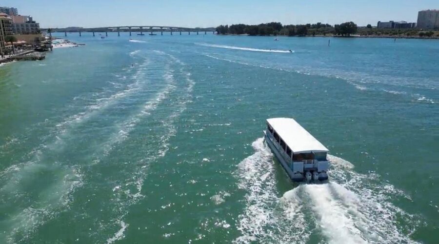 Clearwater Beach: Dolphin & Island Sandbar Cruise - What the crew adds to the experience