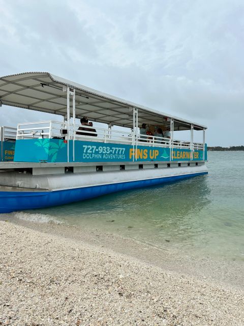 Clearwater Beach: Dolphin & Island Sandbar Cruise - Who will enjoy this tour most