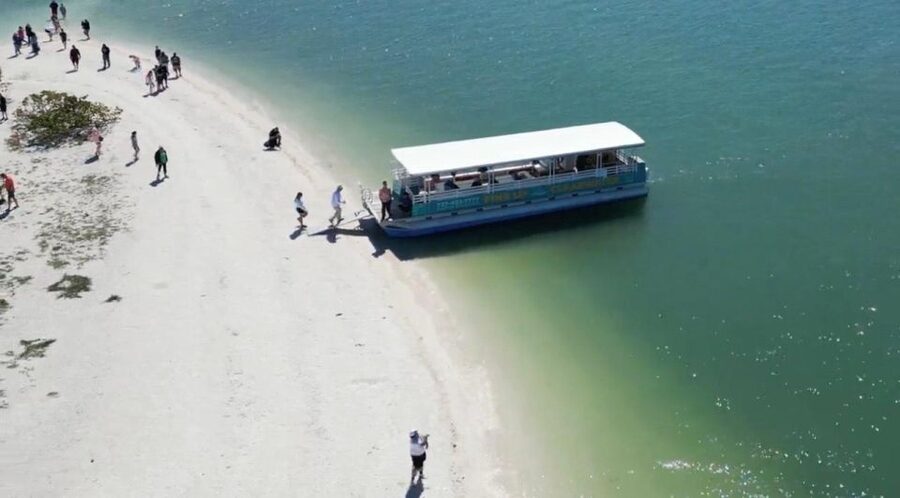 Clearwater Beach: Dolphin & Island Sandbar Cruise - What to bring for a smoother two hours